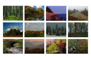 2012 New England Colors Calendar